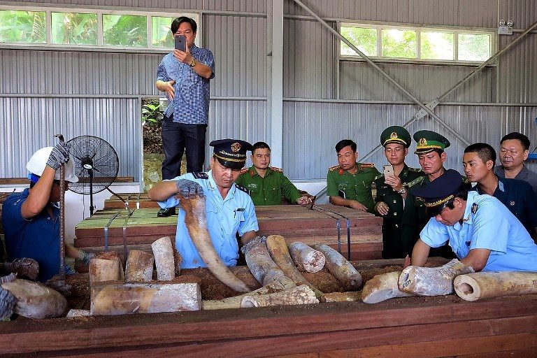 Vietnam seizes 9 tons of suspected ivory from Congo