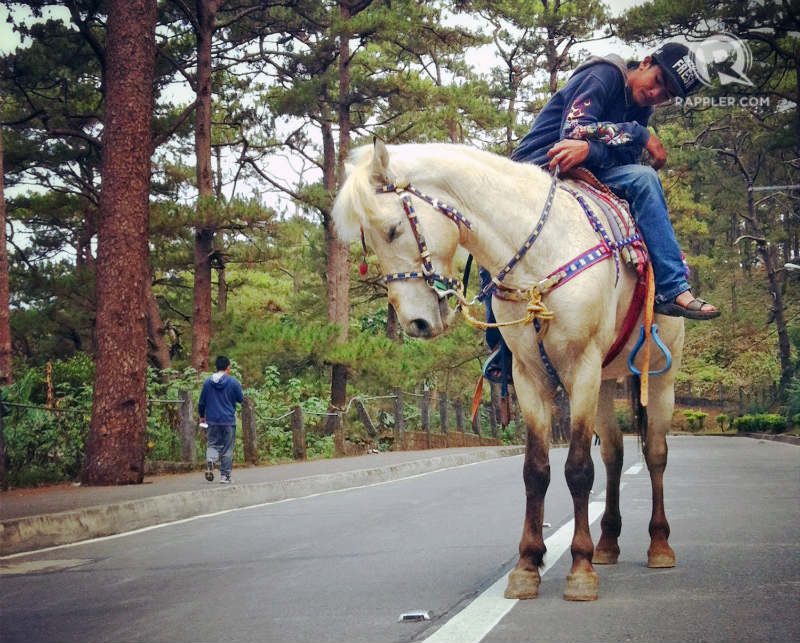MEMORIES. Another classic Baguio experience, horses can be rented and taken around the vicinity of Wright Park. Photo by Nikka Corsino 