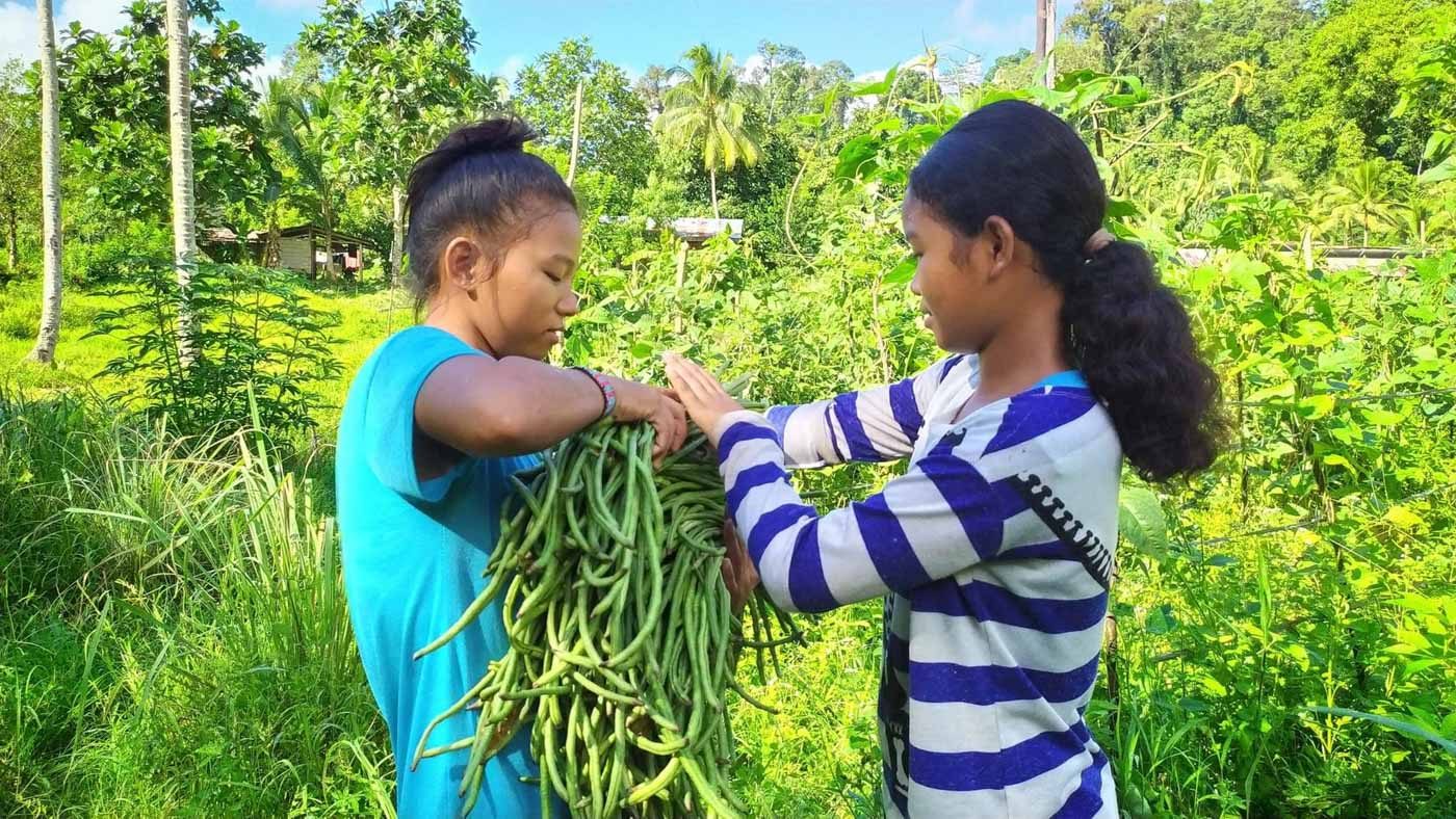 Caraga school focused on agriculture can help sustain Lumad communities