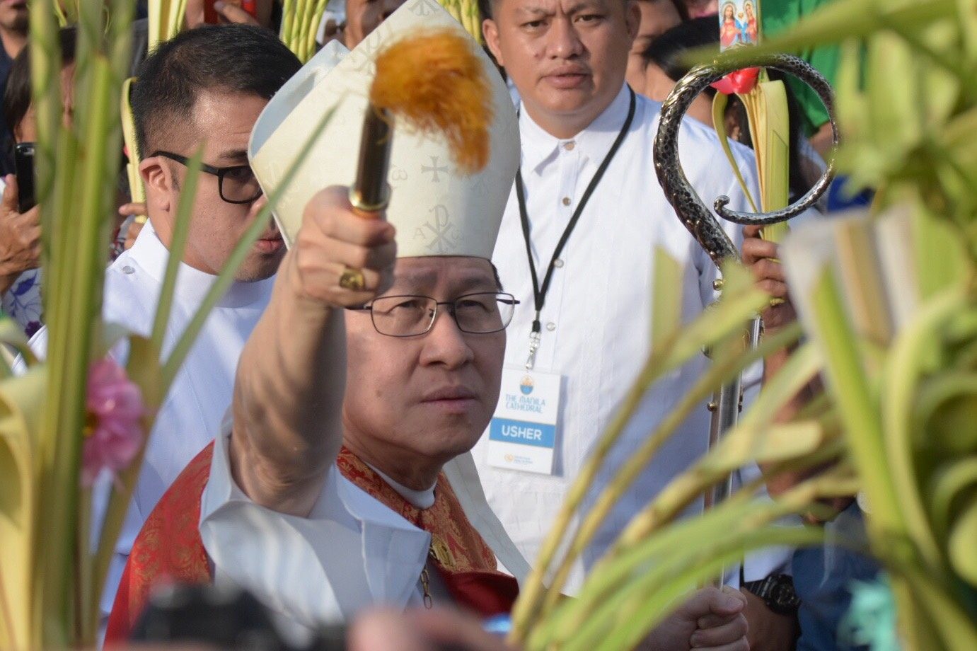 SHEPHERD. Manila Archbishop Luis Antonio Cardinal Tagle leads the observance of Palm Sunday at the Manila Cathedral on April 14, 2019. Photo by Angie de Silva/Rappler   