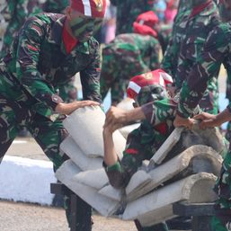 HUT TNI di Aceh diwarnai aksi bela diri menegangkan