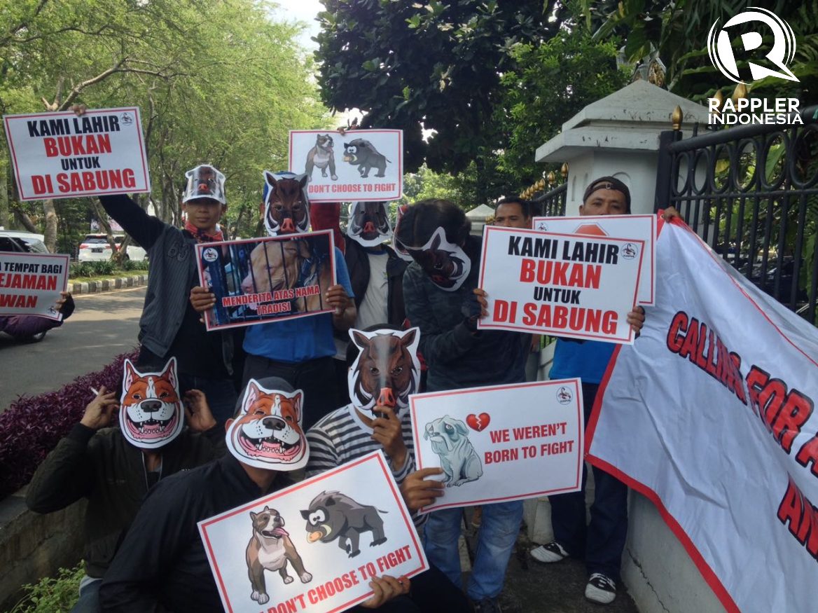 Aktivis desak Pemprov Jawa Barat hentikan aksi Adu Bagong