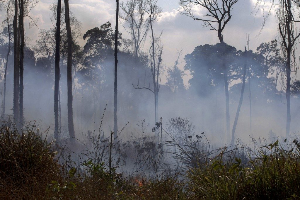 U.S. ready to fight Amazon fires only in cooperation with Brazil