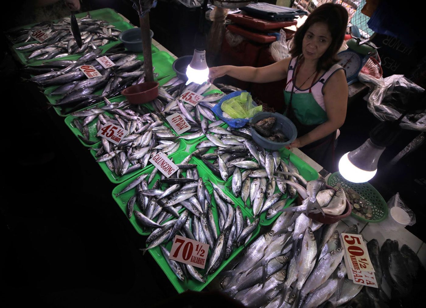 BFAR: No formalin-tainted galunggong in Metro Manila markets