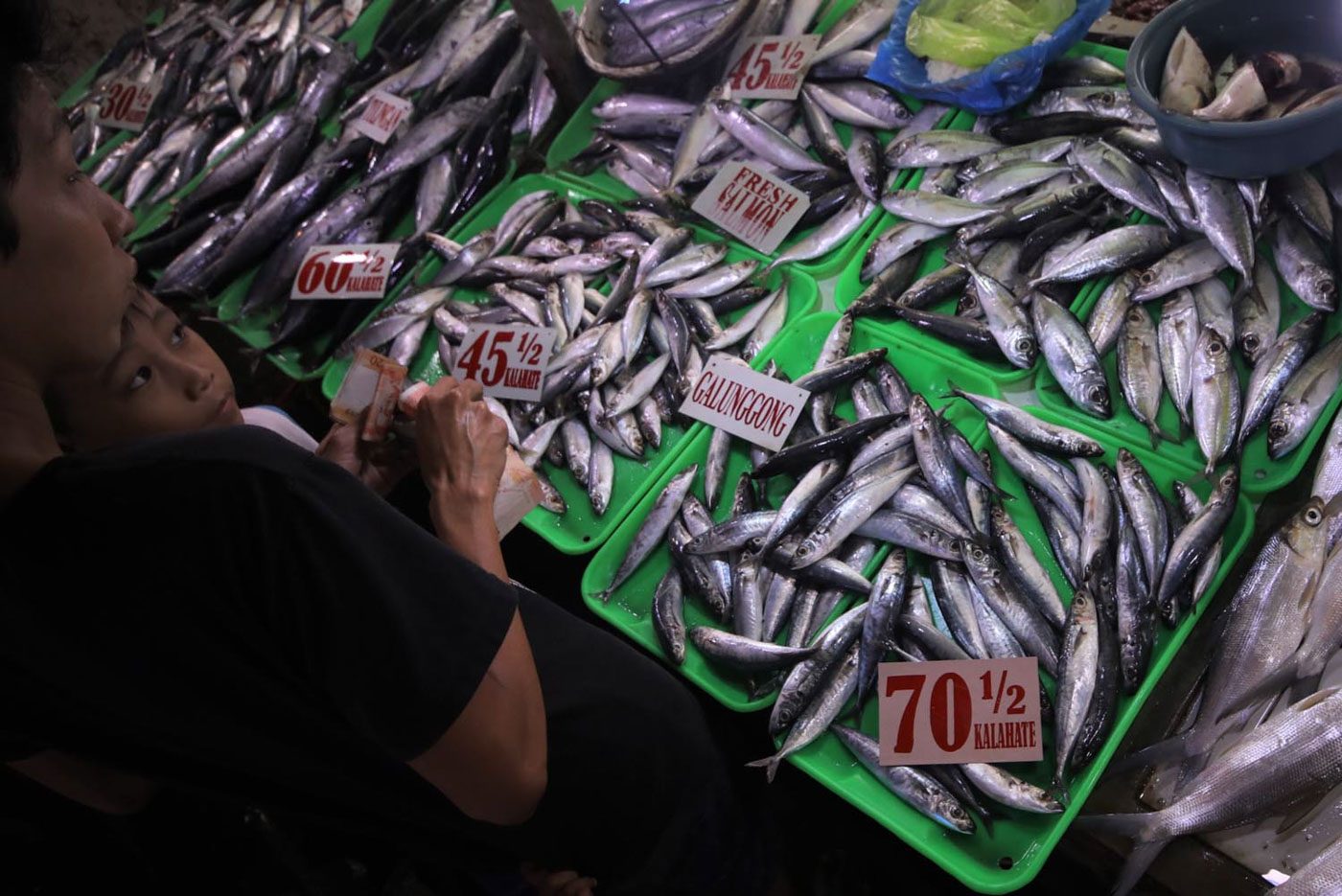 IN CHARTS: Philippine fish now more expensive, smaller – survey