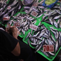 DA cracks down on illegal diversion of galunggong, mackerel, bonito to wet markets