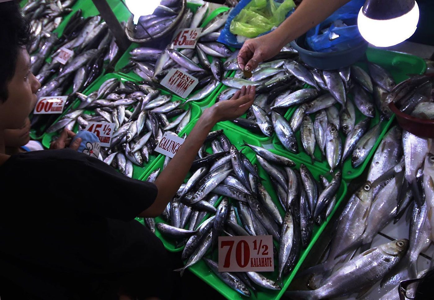 Galunggong imported from China may come from West Philippine Sea