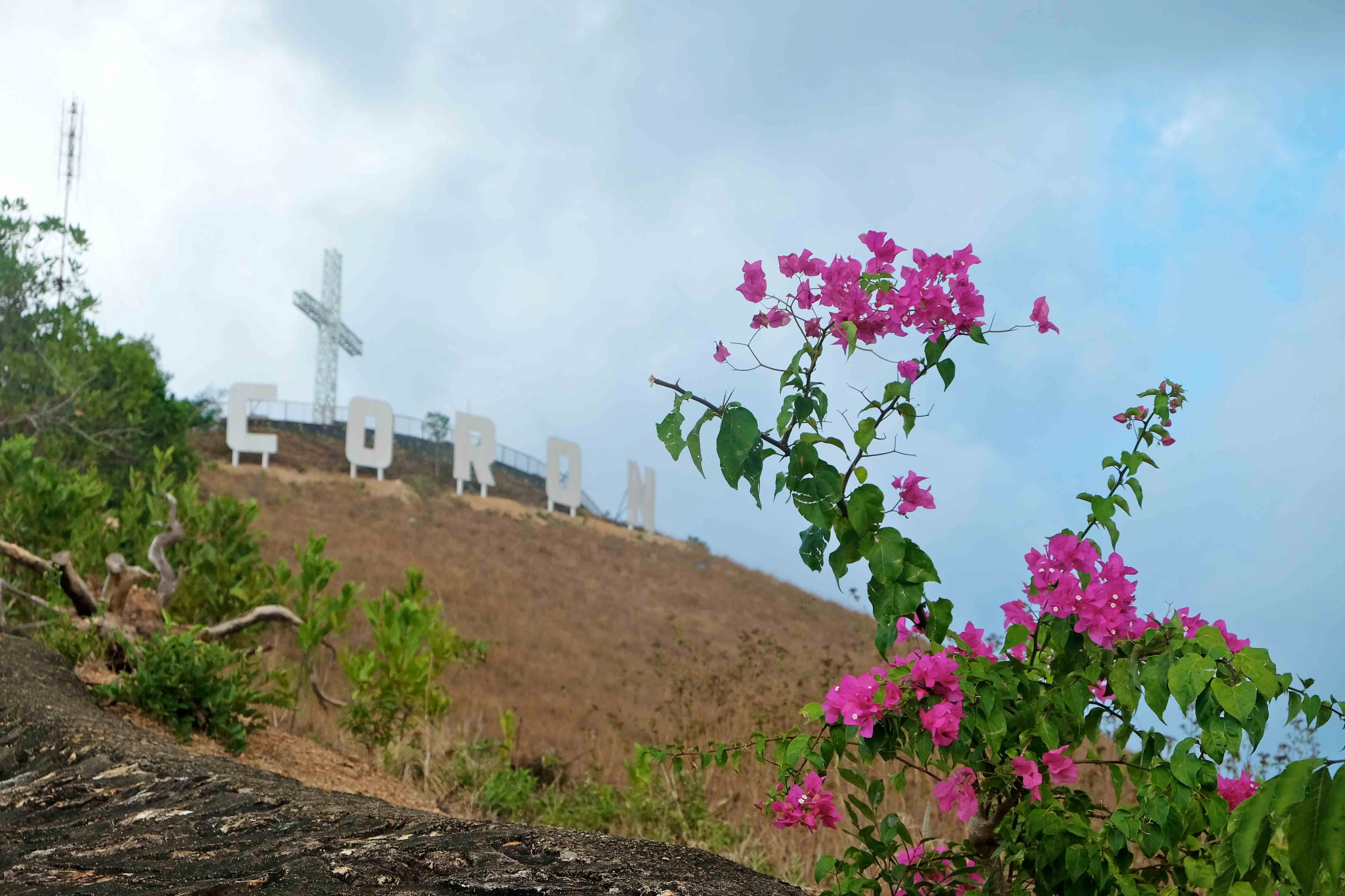 Panoramic climb to Mt. Tapyas (overlooking the town & nearby islands). Photo by Potpot Pinili/Rappler 