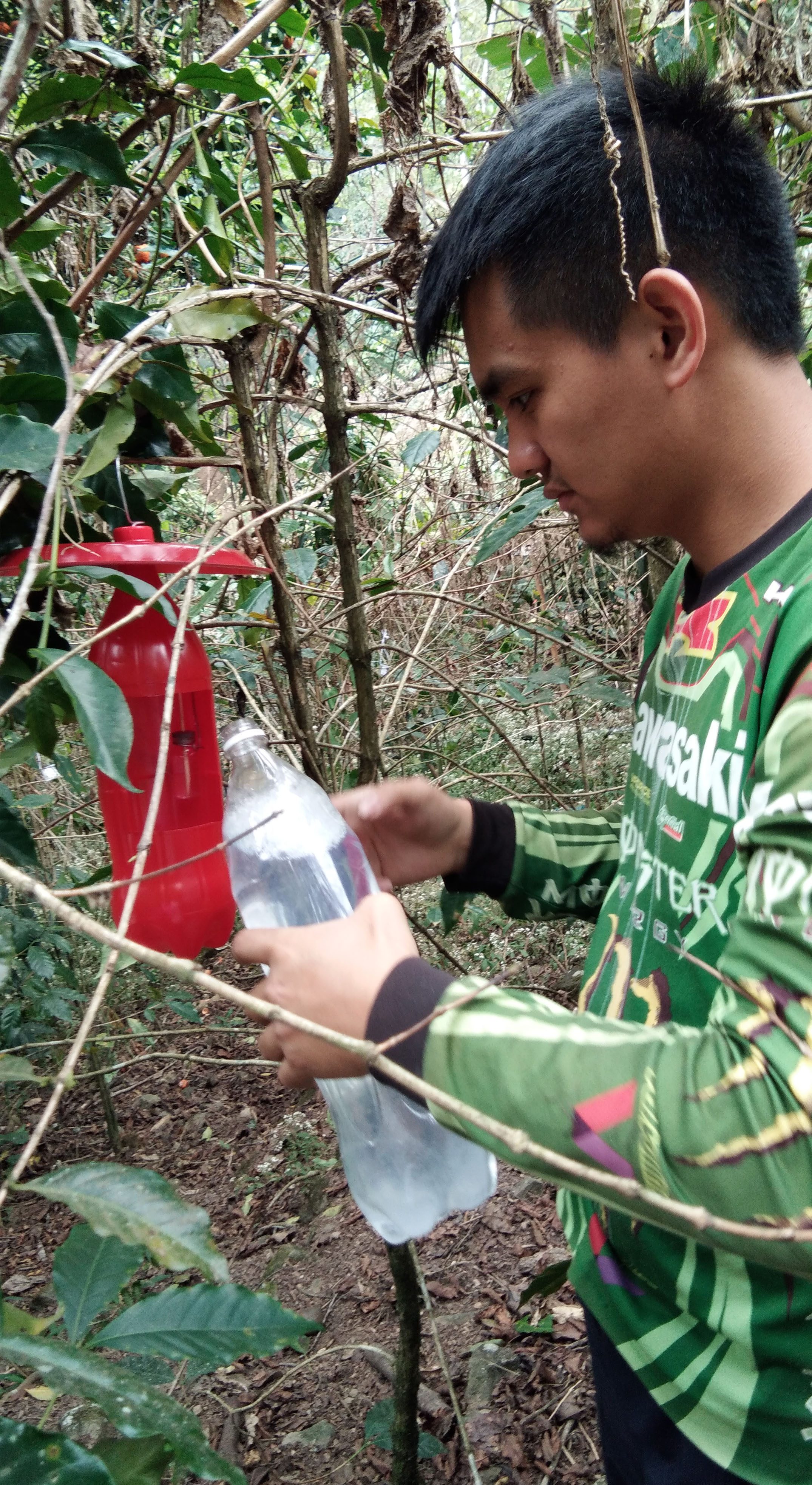 LURE TRAPS. Benguet State University says he is willing to share his knowledge in making CBB lure traps. Photo courtesy of Benguet State University 