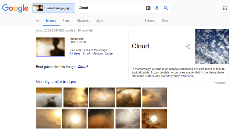 Google image results for the blurred image. Screenshot from Google search 