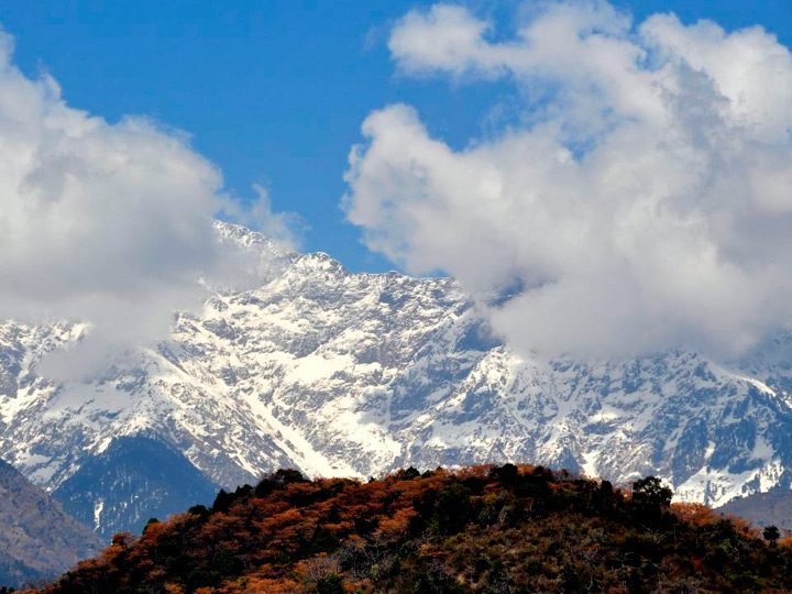 PEACE. Snow on the Dharamsala mountain range 