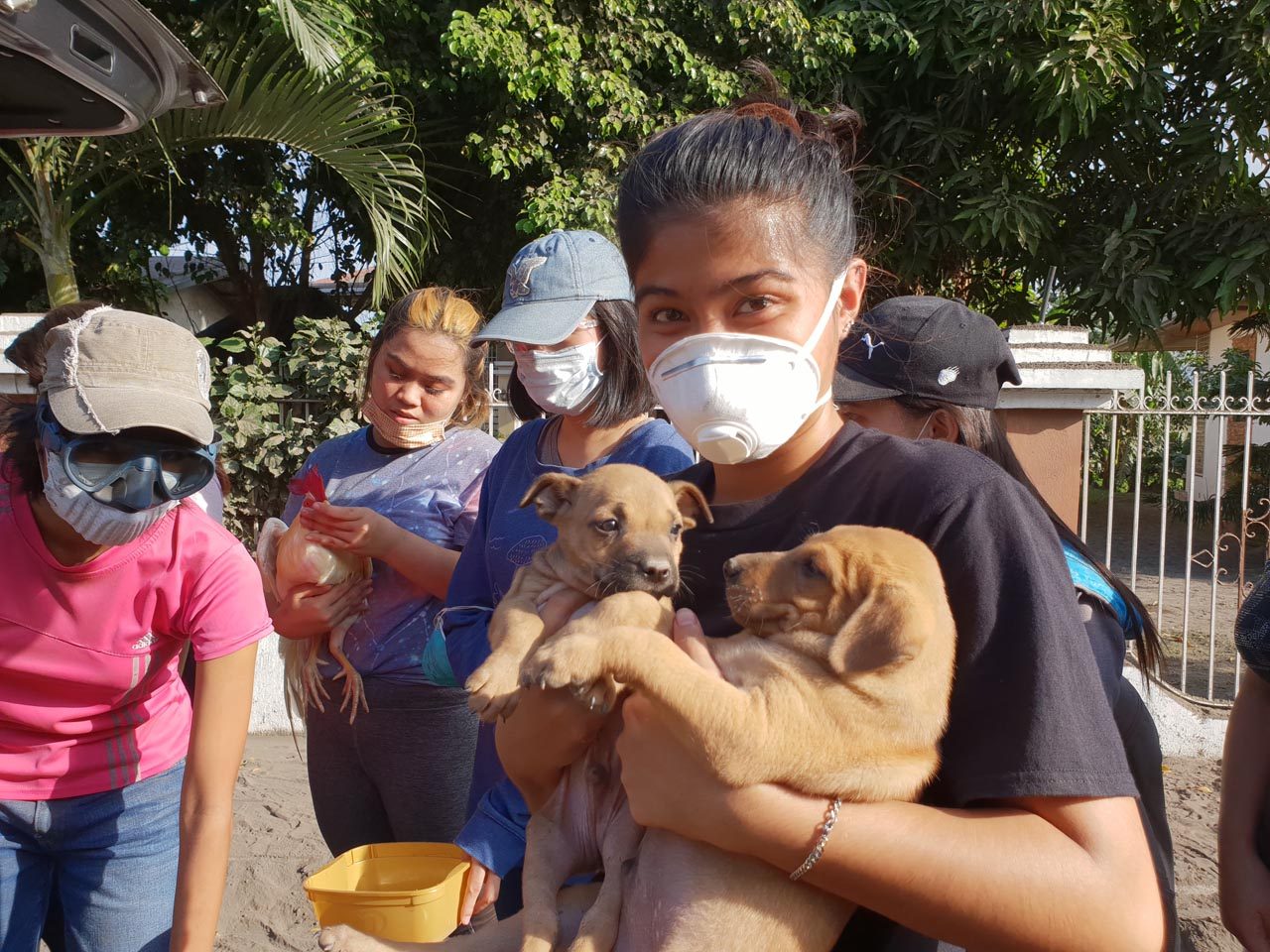 WATCH: Volunteers rescue pets left behind by Taal Volcano evacuees
