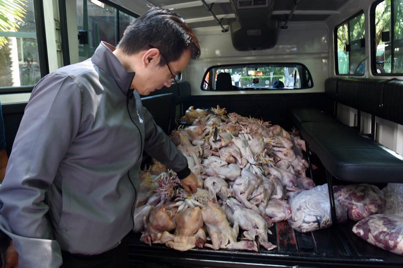 RECYCLING. Manila Mayor Isko Moreno points to bundled chickens seized by city authorities for lack of documents. He turned over the haul to Manila Zoo for disposal on July 4, 2019. Photo by Angie de Silva/Rappler  