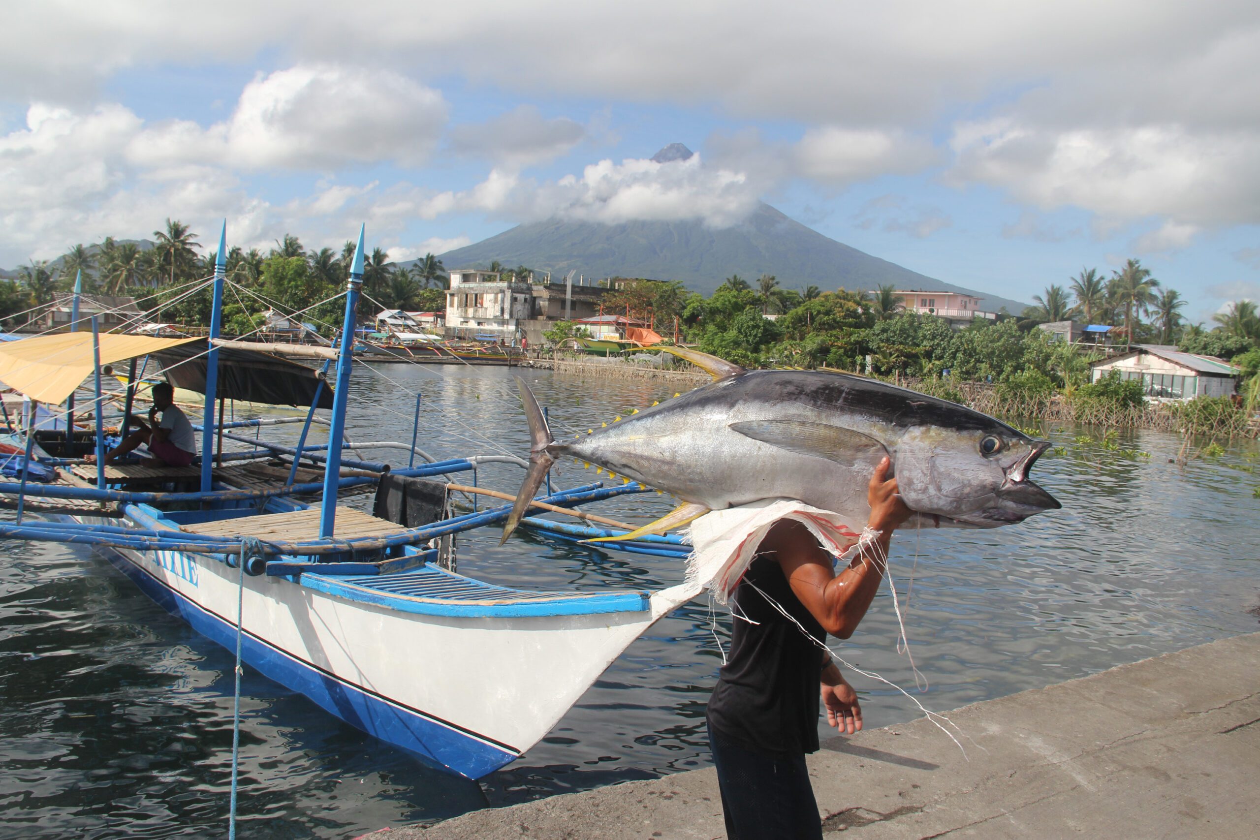 Tuna fishers in Albay revive old practices to save seas