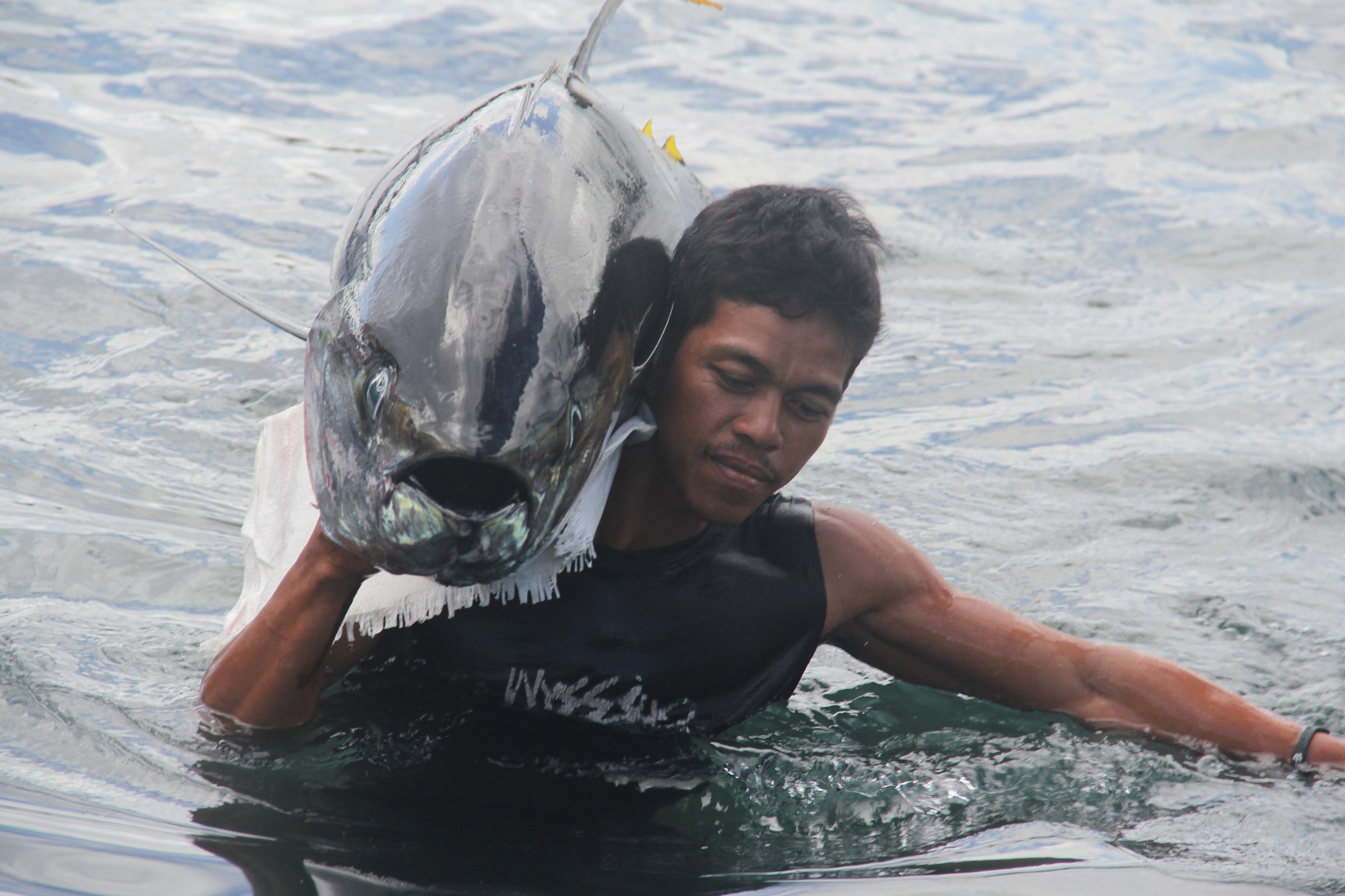 TUNA CAPITAL OF LUZON. A fisherman brings his prize catch to shore. Photo by Rhaydz B. Barcia/Rappler   