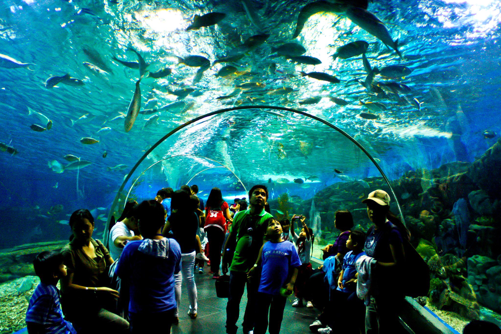 The Manila Ocean Park is also a must-visit for young and old alike. Photo by Louie Lapat
 