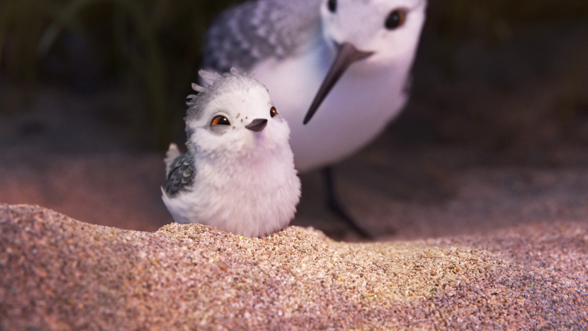 PIPER. In Pixar Animation Studios' new short, 'Piper,' a hungry sandpiper hatchling discovers that finding food without momâs help isnât so easy. Directed by Alan Barillaro, the short debuts in front of 'Finding Dory.' Photo courtesy of Disney Pixar 