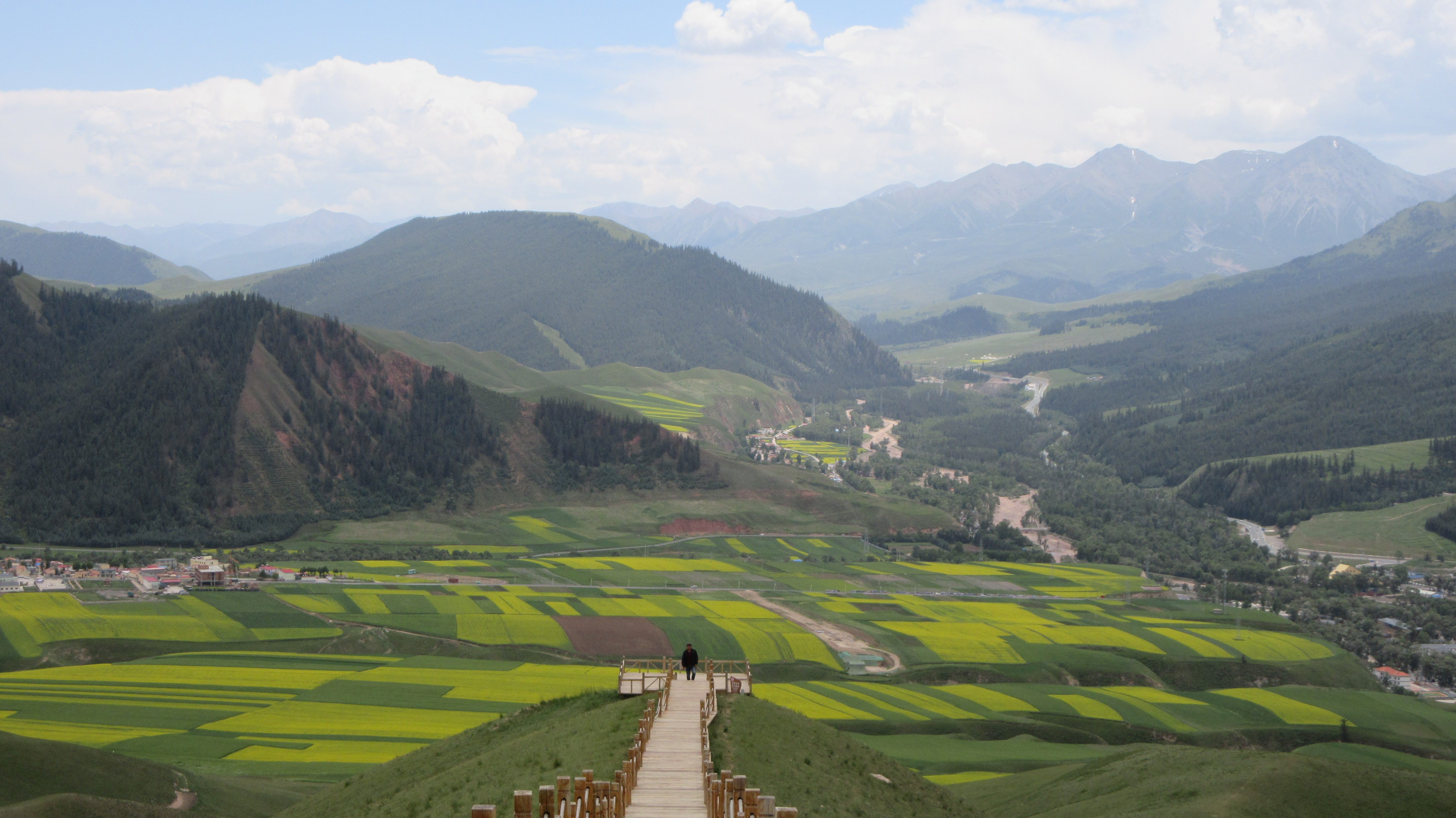 BIRD'S EYE VIEW. One of the viewing platforms in Zhuo'er Shan provide visitors with an overlooking view of the yellow rape flower fields below. 