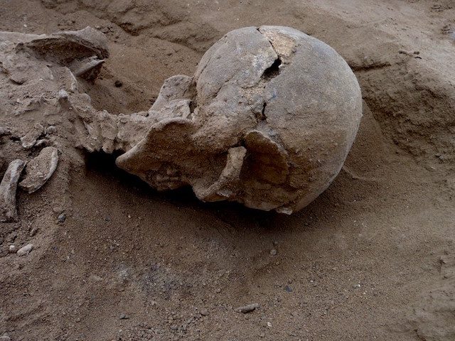 Science sleuths lift veil on prehistoric mass murder