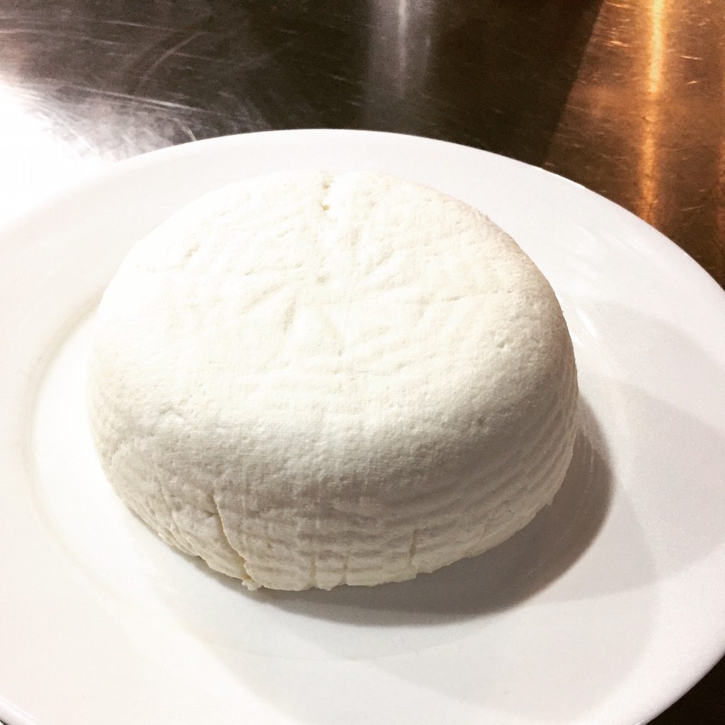FRESH CHEESE. The finished product. 