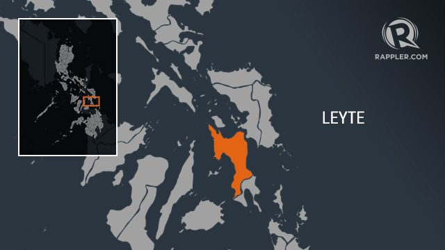 Special task group created to probe Leyte blast