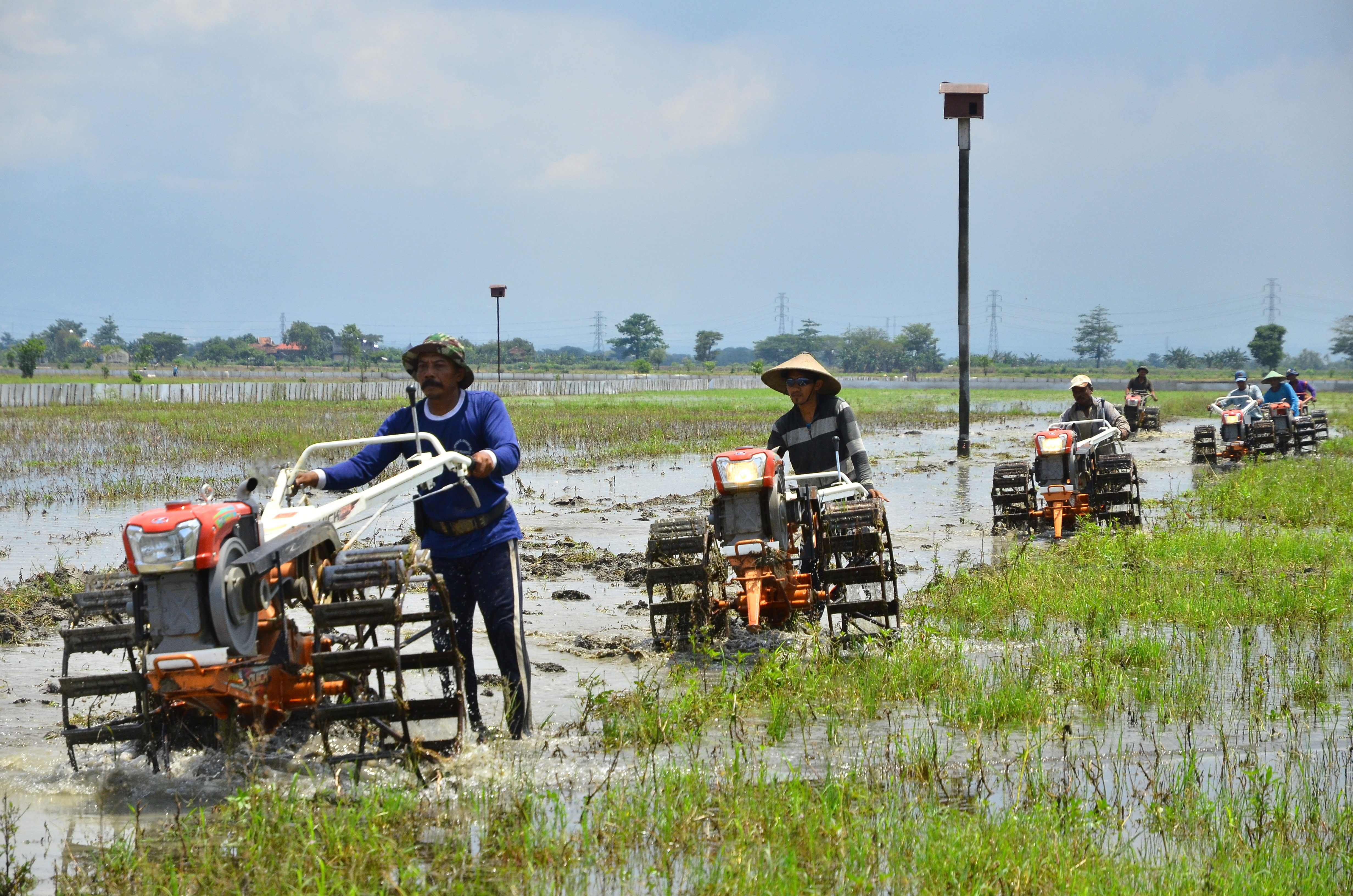 Petani mengolah tanah menggunakan traktor di persawahan Desa Undaan, Kudus, Jawa Tengah, pada 18 Oktober 2016. Foto oleh Yusuf Nugroho/Antara 