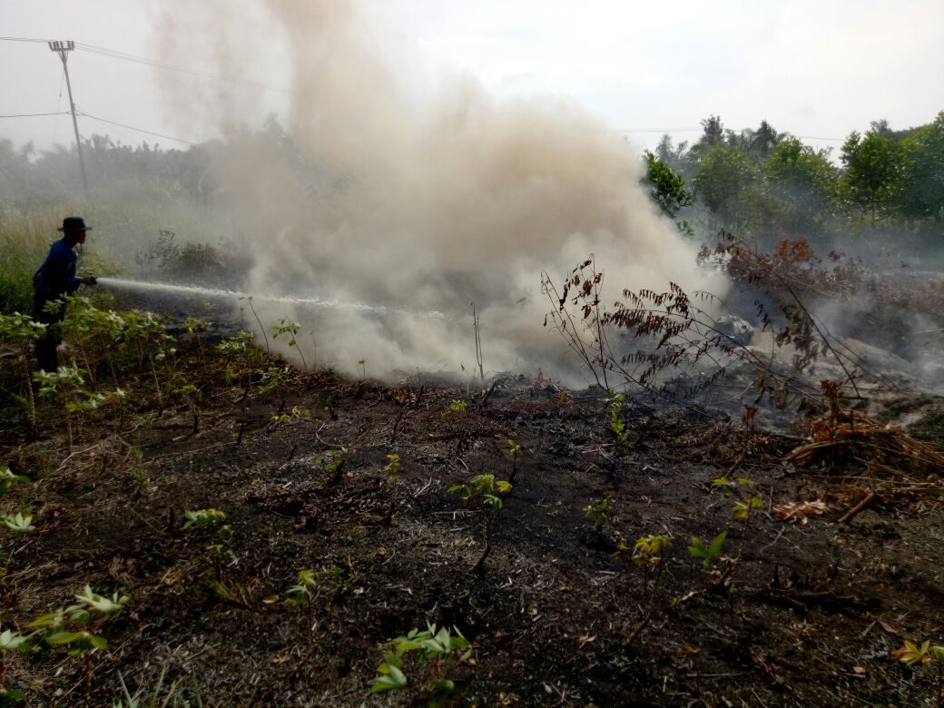 Lima provinsi tetapkan status siaga darurat kebakaran hutan