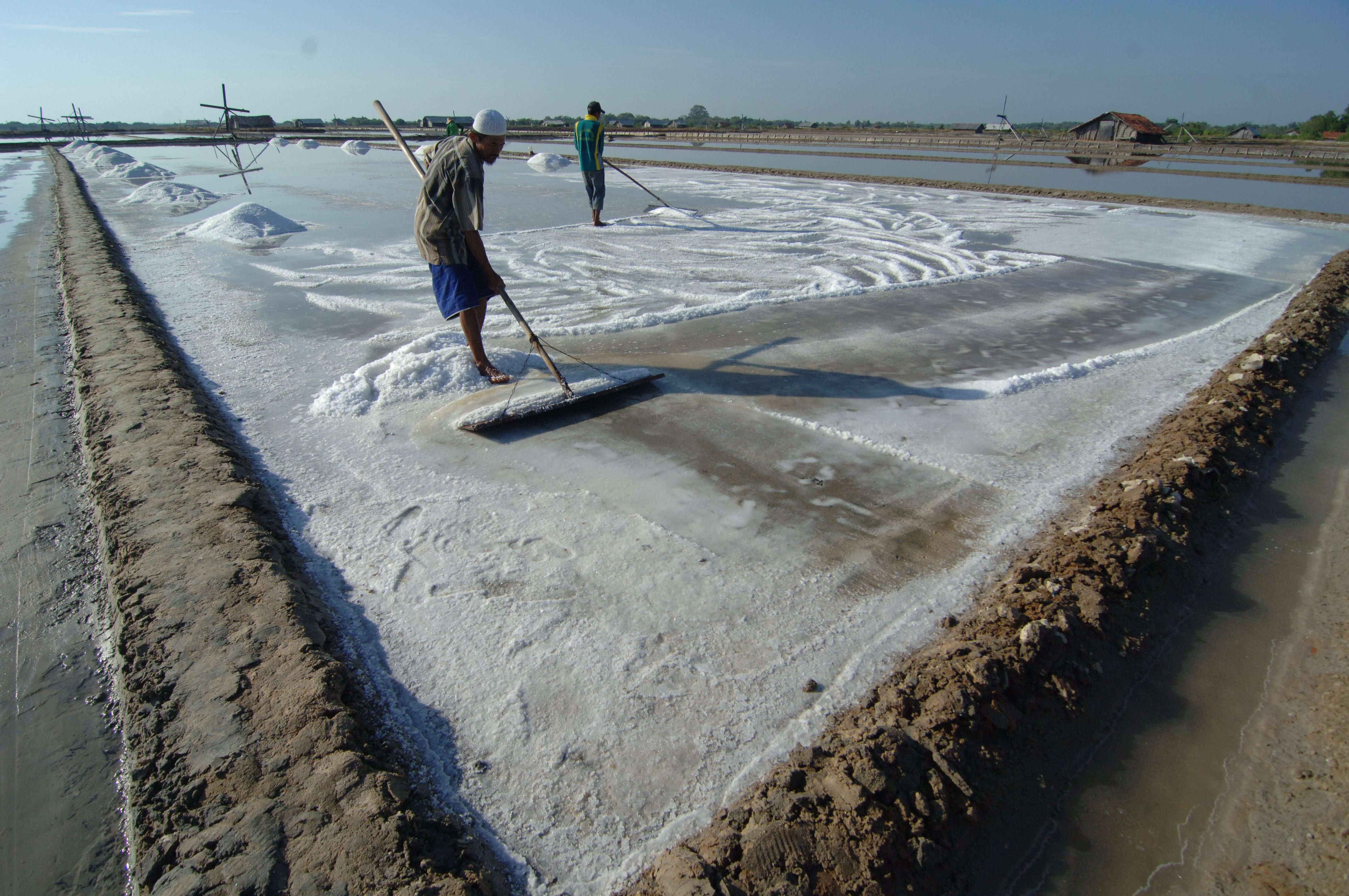 GARAM. Petani memanen garam di lahan garam konvensional di Desa Bunder, Padewamu, Pamekasan, Jawa Timur, Selasa, 25 Juli. Foto oleh Saiful Bahri/ANTARA 