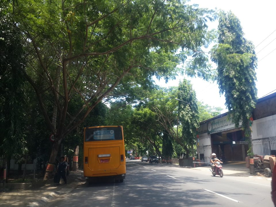 Bus sekolah di Bantaeng. Gratis. Foto oleh Uni Lubis/Rappler 