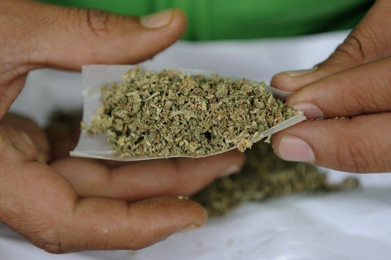 Mexican Senate approves medical marijuana bill
