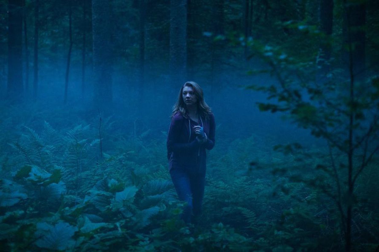 ‘The Forest’ Review: Wooden frights