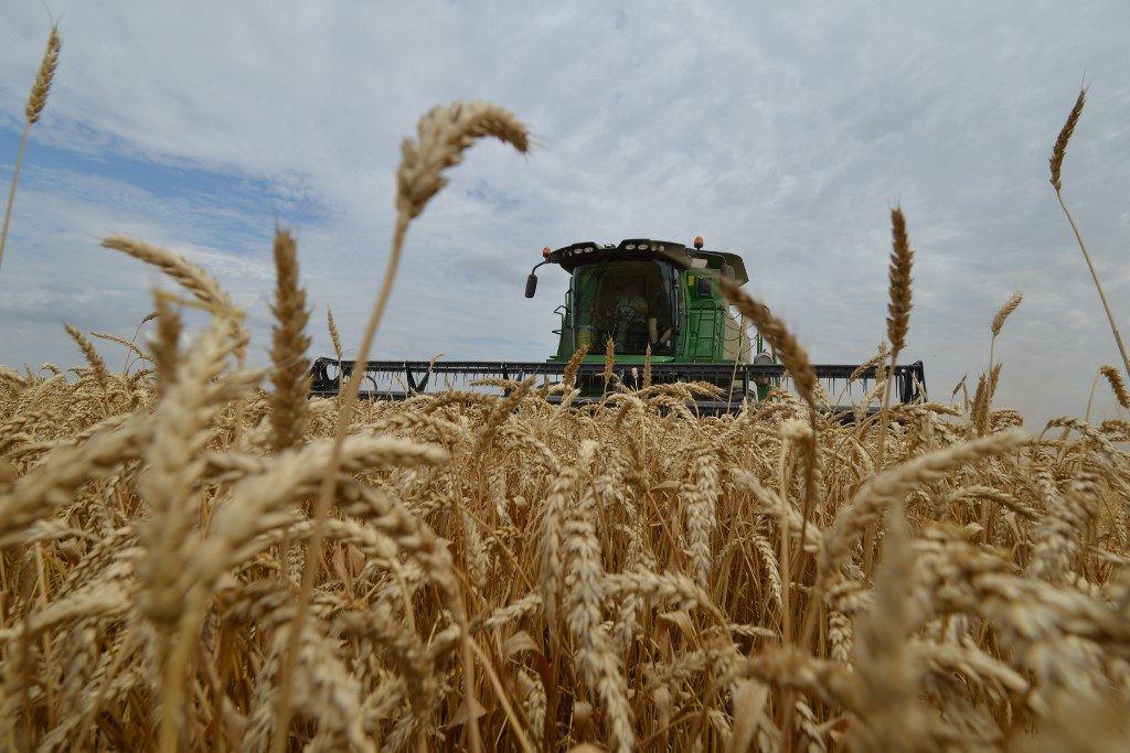 Russia restricts grain exports amid pandemic