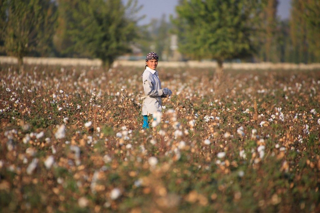Uzbekistan asks global retailers to lift cotton boycott due to pandemic