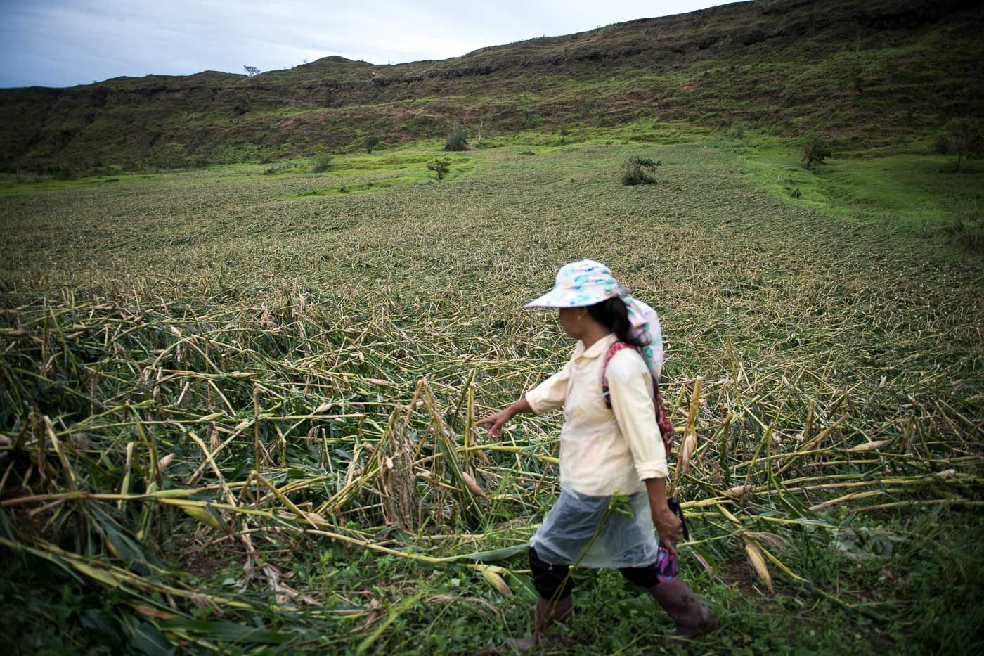 Agricultural damage by Typhoon Ompong highest since Yolanda