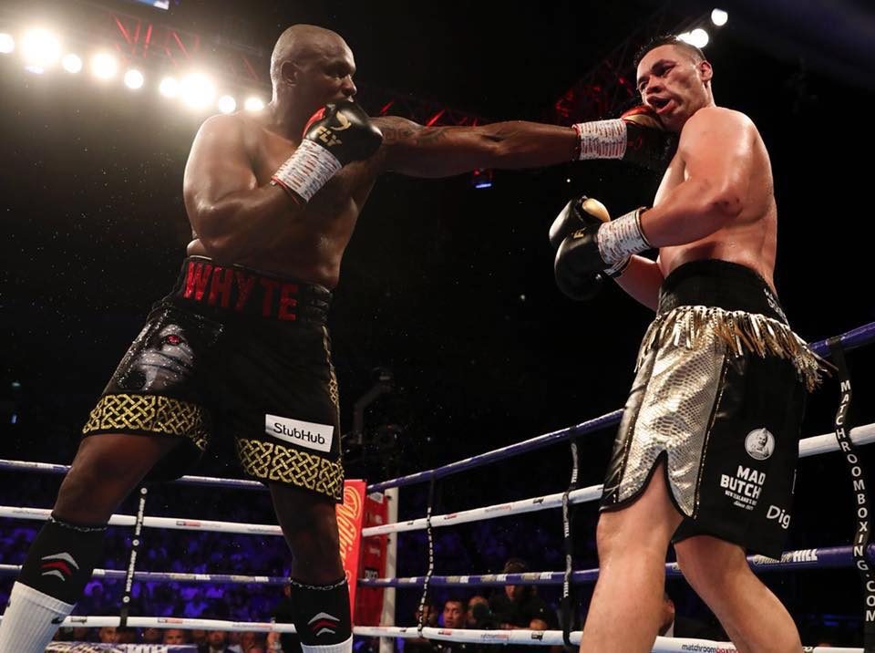 Whyte beats heavyweight rival Parker on points