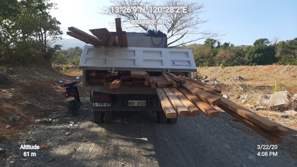 Illegal logging continues in MIMAROPA despite Luzon lockdown