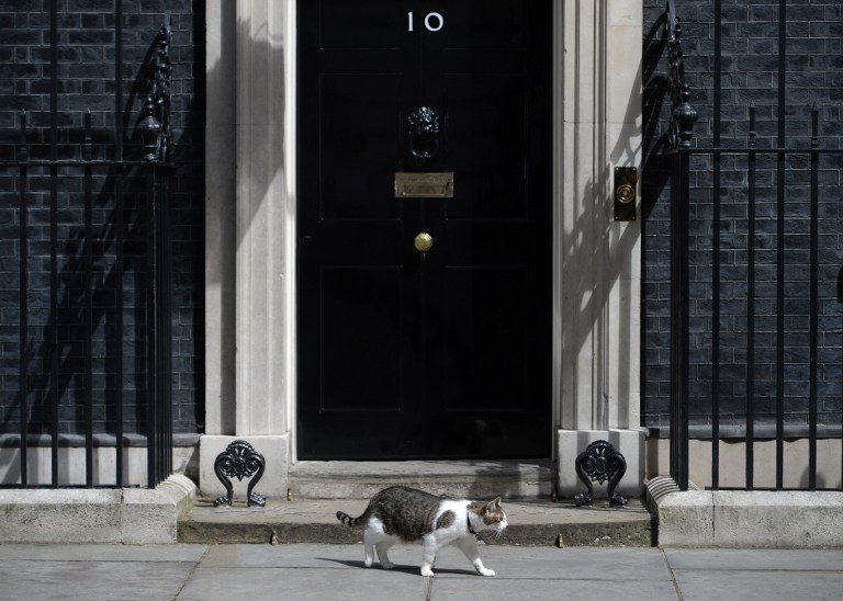 Ketika Larry si Kucing memilih tinggal di Downing Street 10