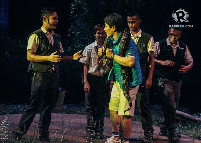 WILDLIFE ENCOUNTERS. The Creatures of the Night show helps unravel mysteries about nocturnal creatures for guests at the Night Safari. Close but supervised encounters help in this regard 