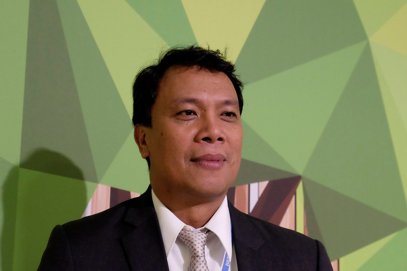 Aquino environment adviser guilty of misusing pork barrel
