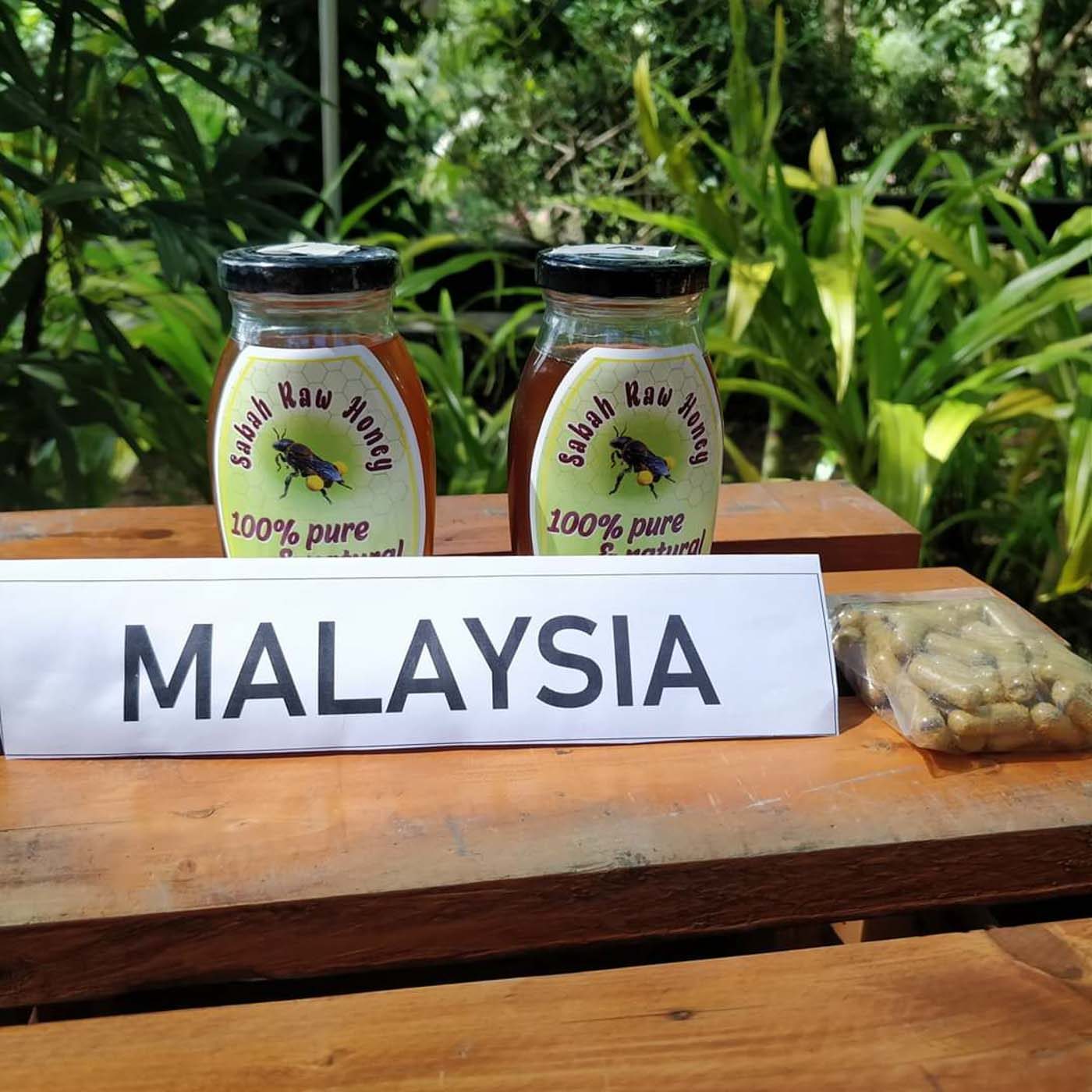 According to a study, Malaysian honeys are pure, strong antioxidants with abundant sources of minerals essential for the human diet, growth, and health. Photo courtesy of Non-TImber Forest Products-Exchange Program


Photo courtesy of Non-TImber Forest Products-Exchange Program 
