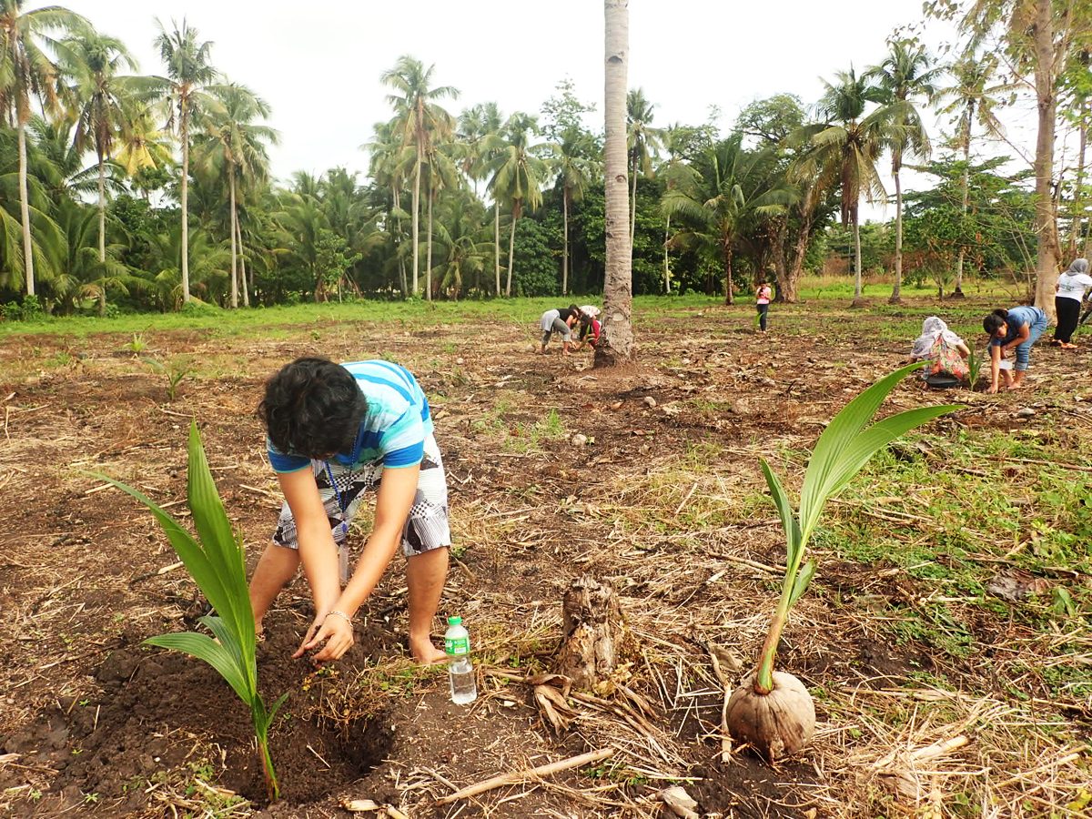 HOPE. Students and teachers from Christian, Muslim, and indigenous faiths plant trees in a place where families were killed by rebels in Pikit, Cotabato. 