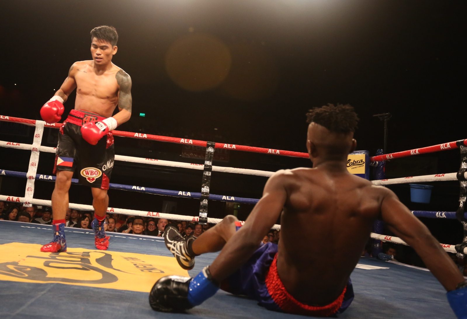 Mark Magsayo scored two knockdowns in the first round to win by technical knockout. Photo by Darryl Mangubat/Rappler 
