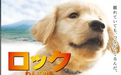 ANOTHER DOG STORY. Yesterday, there was 'Hachiko.' Today, there's 'Wanko.' Catch him at the Asian Film Festival at Shang Mall Cineplex.