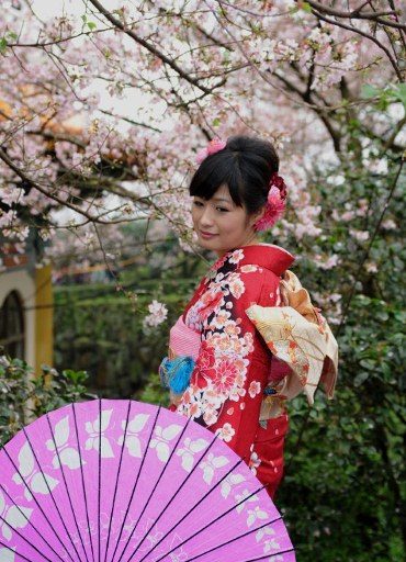 CHERRY BLOSSOMS. A Taiwanese woman wearing traditional Japanese costume poses for photos under a cherry tree at a Taoist temple, a popular sightseeing spot noted for its cherry blossoms, in New Taipei City on March 15, 2012. Taiwanese are enthusiastically taking up the planting of cherry trees, or sakura, a key symbol of Japanese civilisation, reflecting deep cultural ties with Taiwan's former coloniser. Photo by AFP 