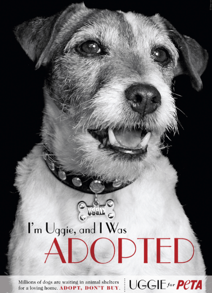 THEY ALSO DESERVE A happy ending. Rescues like Uggie, after proper rehabilitation, can still turn out to be stars. Image from PETA
